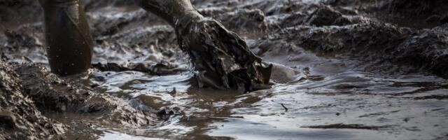 Welcome to the Age of Travel Slop