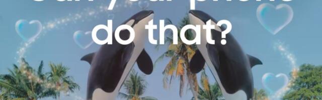 TikTok’s policy for AI ads isn’t working