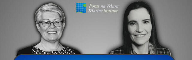 The Summer Bursary Programme Through the Years – The Bursary as a Pathway into a Marine Institute Career