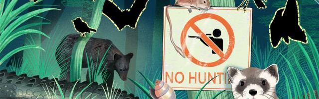 The ridiculously stupid reason the US is letting animals spiral toward oblivion