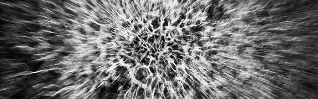 Crypto Will See Revolution By Acceleration