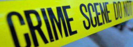 Thieves smash car into and loot nearly 100-year-old South Bay business