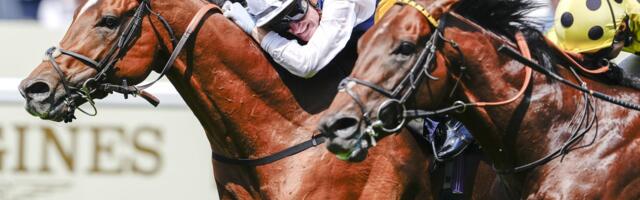How to watch Royal Ascot 2026: FREE live streams, schedule, TV channels for the horse racing festival
