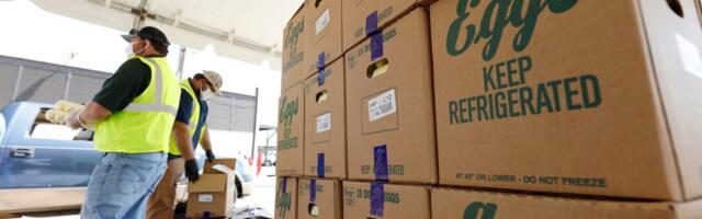 Largest egg producer in the US reports bird flu outbreak