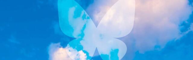 X alternative Bluesky reaches 24 million users