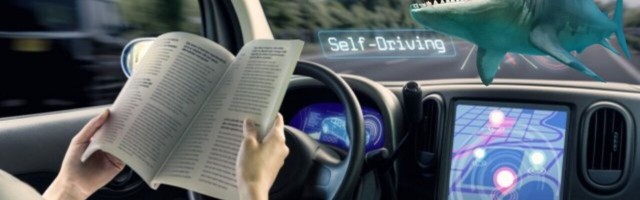 3 in 10 Americans would rather swim with sharks than ride an autonomous vehicle