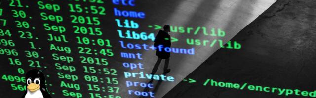 AMD VP uses AI to create Radeon Linux userland driver in Python — senior AI engineer says he "didn't open the editor once"