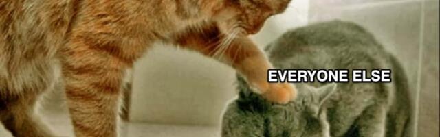 The AI investment frenzy, charted