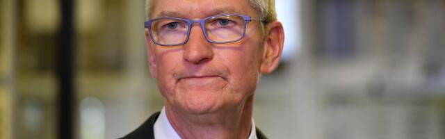 Apple Removes iPhone Vibe Coding App from App Store