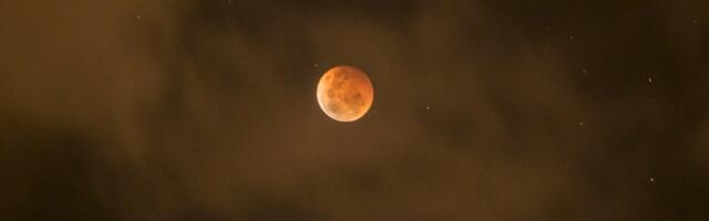 The Beaver Moon: Best cities to view Friday’s lunar eclipse