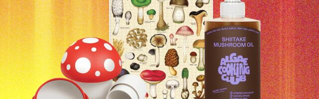 The Best Mushroom Gifts for Your Fungi Friend (2025)