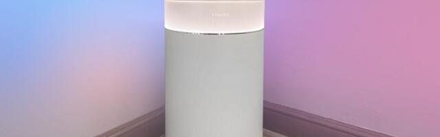 Can Air Purifiers Combat Pet Dander? What Our Testing Revealed