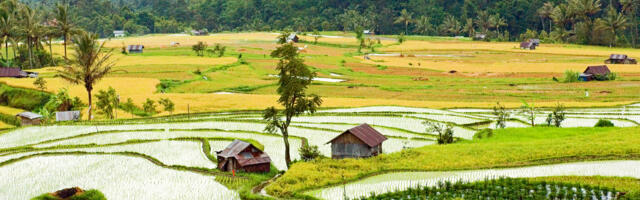 How Accor Is Supporting Biodiversity and Sustainable Tourism