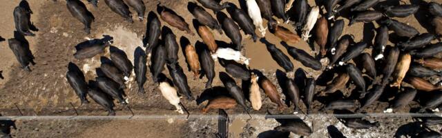 Why the media too often ignores the connection between climate change and meat