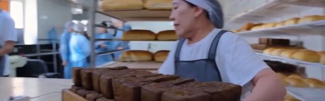 Я пекла на 3 млн в месяц, поставляла в 850 магазинов, а потом домохозяйки сломали рынок