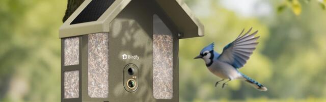 Birdfy’s new 4K feeder wants to teach you about the birds it identifies
