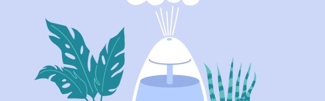 The perfect humidifier doesn’t exist