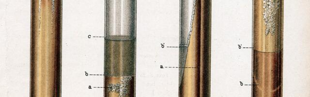 The world’s deadliest infectious disease is on the rise in the US