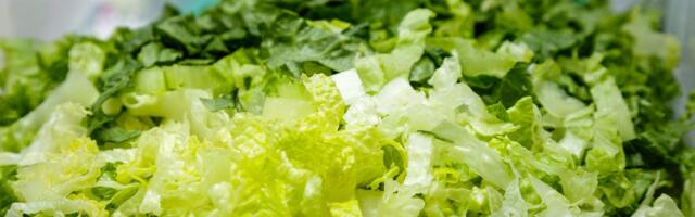 Shredded lettuce supplied to Taco Bell identified as a source of cyclospora that causes watery diarrhea