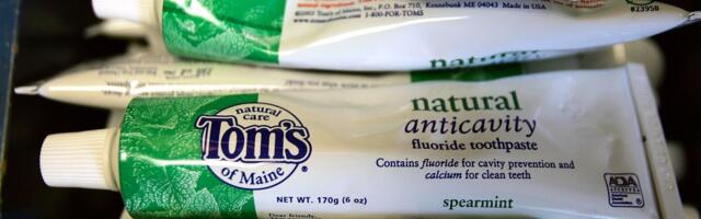 Tom’s of Maine Toothpaste Has a Bacteria Problem, FDA Says