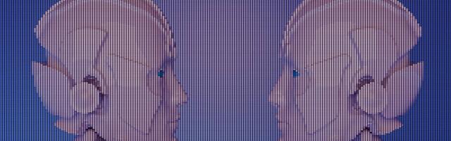 The Protocol: Meet Hoodi, Ethereum’s New Testnet