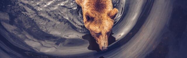 Bitcoin Drops to $92,000 as Long-Term Holders Keep Taking Profit