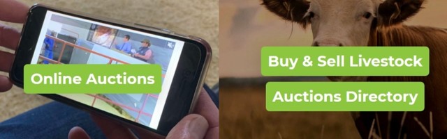 SA agri-tech startup swiftVEE raises $1.5m funding for regional expansion