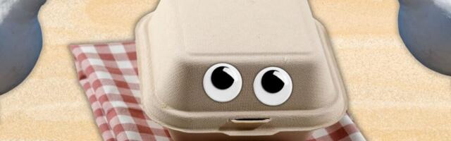 This Ridiculously Simple Trick Might Stop Gulls From Nabbing Your Lunch