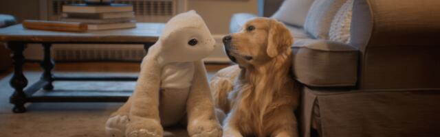 The creator of Roomba is back with a furry robot companion