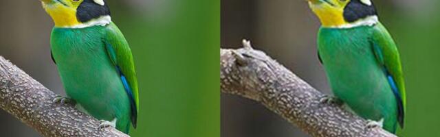 Google's new JPEG image encoder offers higher quality and saves on size and bandwidth