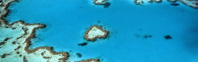 The Great Barrier Reef’s Mass Bleaching Disaster: Can Ecotourism Help?