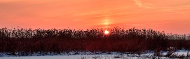 Changing the Clocks Goes Against Human Nature—and Nature Itself Changing the Clocks Goes Against Human Nature—and Nature Itself