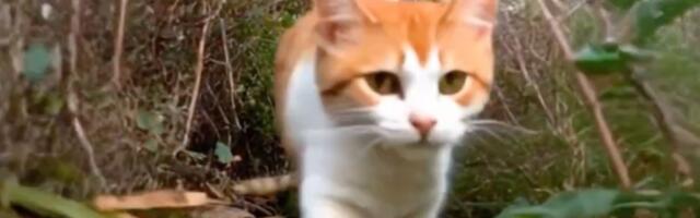 This new open-source AI, CogVideoX, could change how we create videos forever