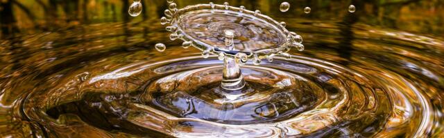 Thomas Schumann Capital to provide potable water for Ukrainians