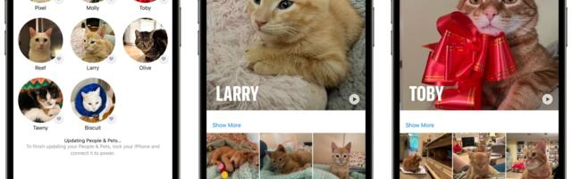 iOS 17 Photos App Recognizes Your Pets
