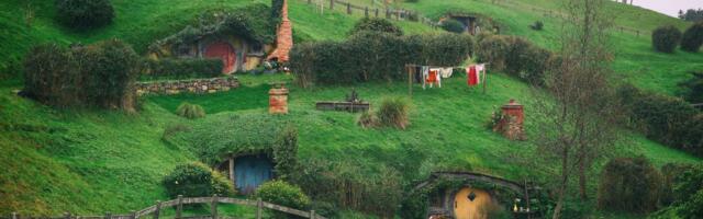 Palantir wants its old employees back: 'The shire is calling'