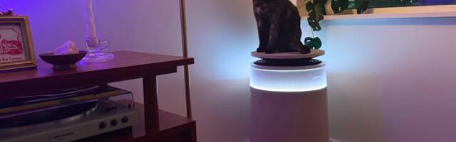 The Dreame FP10 air purifier cleans fur off its own filter. Just as crucially, it matches my living room aesthetic.
