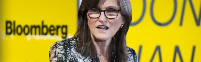 Cathie Wood's ARK: Bitcoin's Bullish Momentum Slows as Long-Term Holder Stacks Hit Record