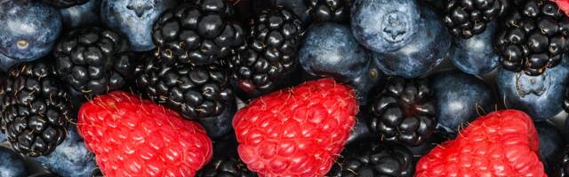 The Cyclospora outbreak has every toddler parent asking the same question: Are berries safe?