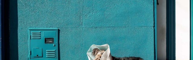 Today in funding: CubicFarms, Vetster, Metaspectral