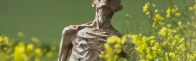 Emaciated 28 Years Later Zombie Actor Speaks Out After Cillian Murphy Rumors