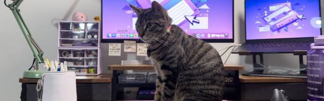 Why I love the Logitech MX Vertical wireless mouse
