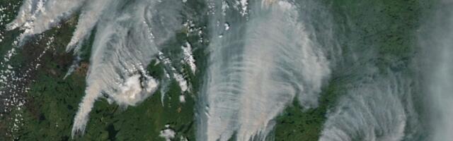 U.S. Lawmakers Blame Canada for Ruining Summer With Wildfire Smoke