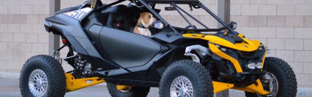 Who Makes Can-Am Engines?