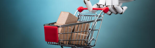 You Should Remember This Warning When Using An AI Shopping Agent