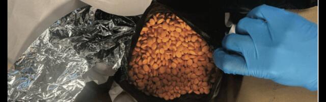 Feds Say a Darknet Dealer Called ‘DaddyBiden’ Sold Fake Adderall Laced with Meth