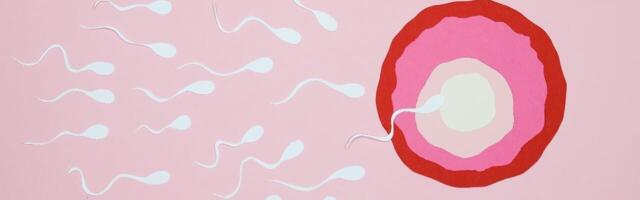 Startup unveils AI breakthrough for male fertility diagnosis