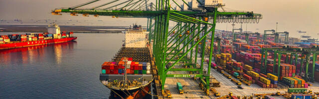 From Supplier to Shelf: How Rovigos is Transforming Supply Chain Efficiency