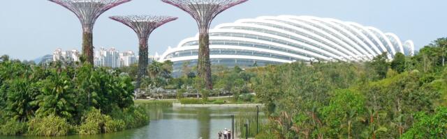 WazirX Wins Approval From Singapore Court to Repay Users Following  $230M Hack