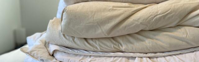 Best Comforters for 2025: Refresh Your Bedding for Spring With These 8 Options